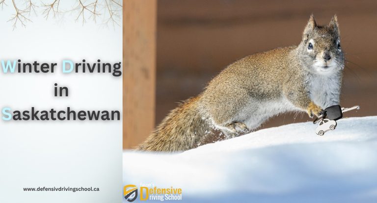 Winter Driving in Saskatchewan: Essential Safety Tips for New Drivers